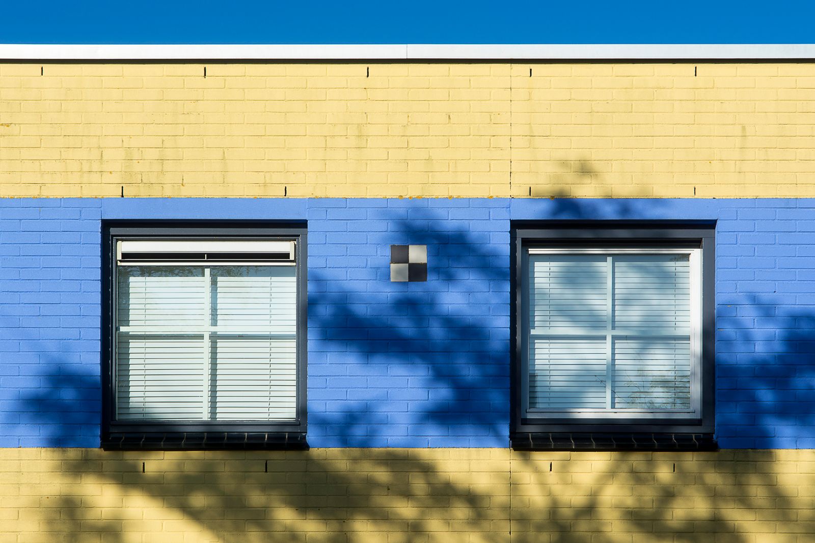 Colourful blue and yellow building facade with windows