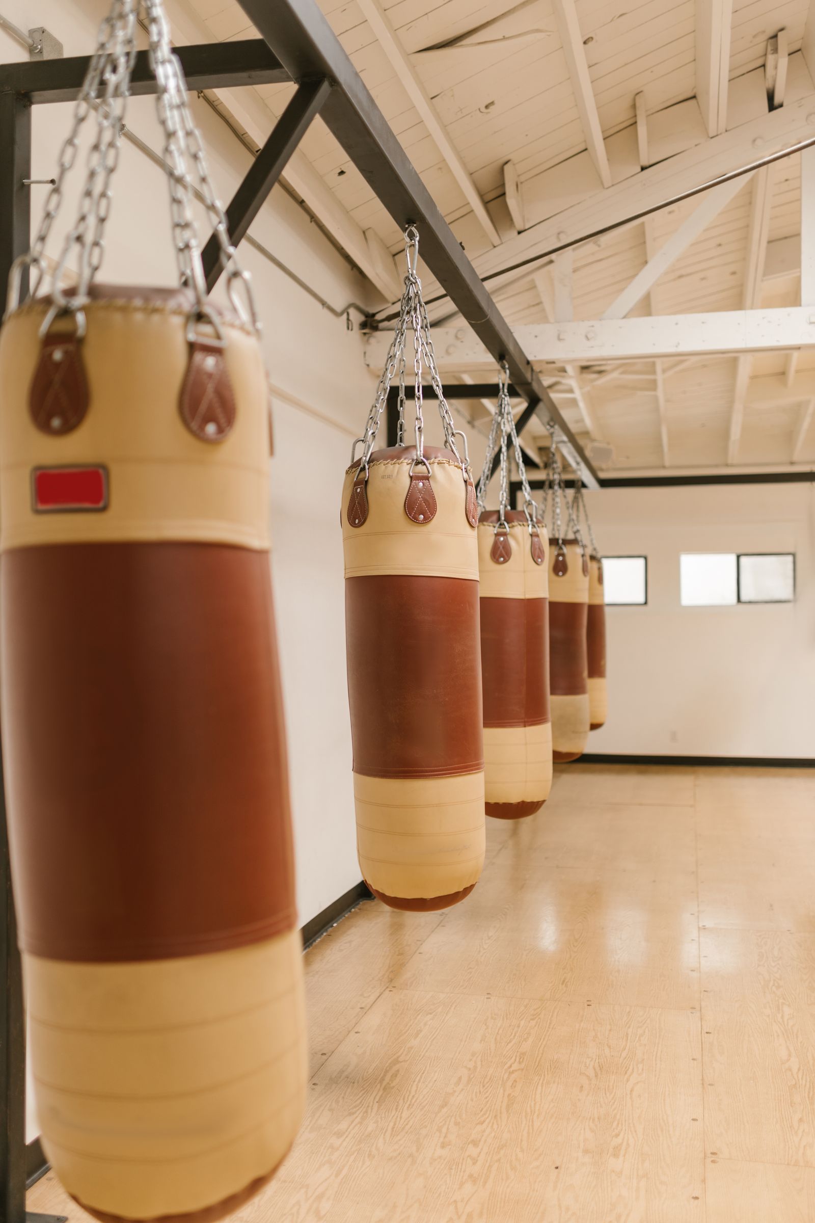 Row of hanging boxing bags in a bright gym with windows