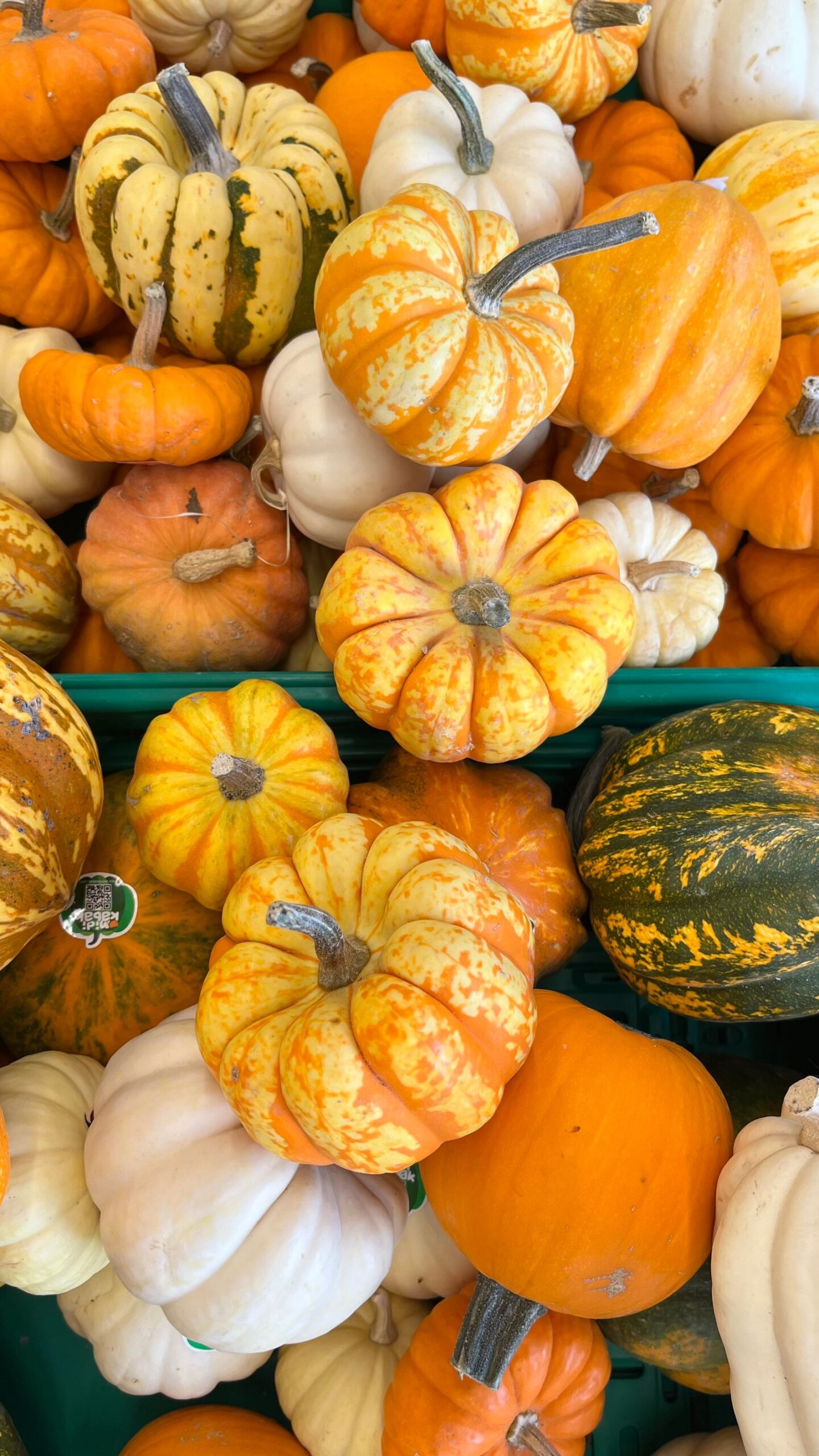 Colourful display of pumpkins and gourds at a seasonal market