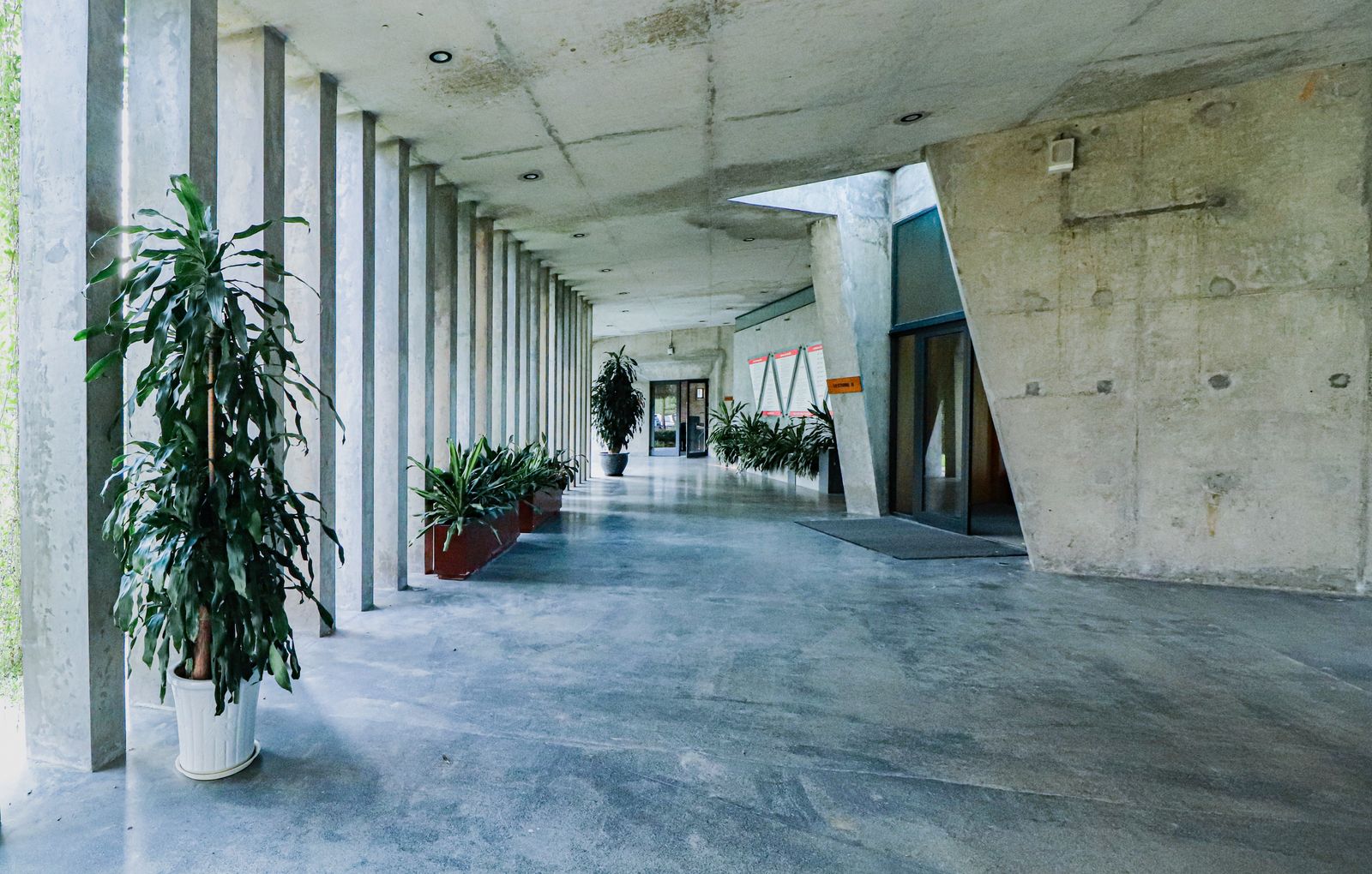 Calm modern building walkway with potted plants and wayfinding signage