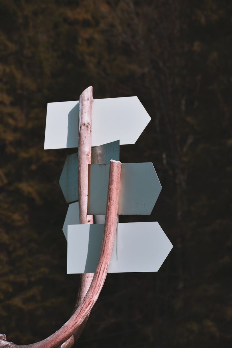 Blank directional arrow signs mounted on a post in a forest setting
