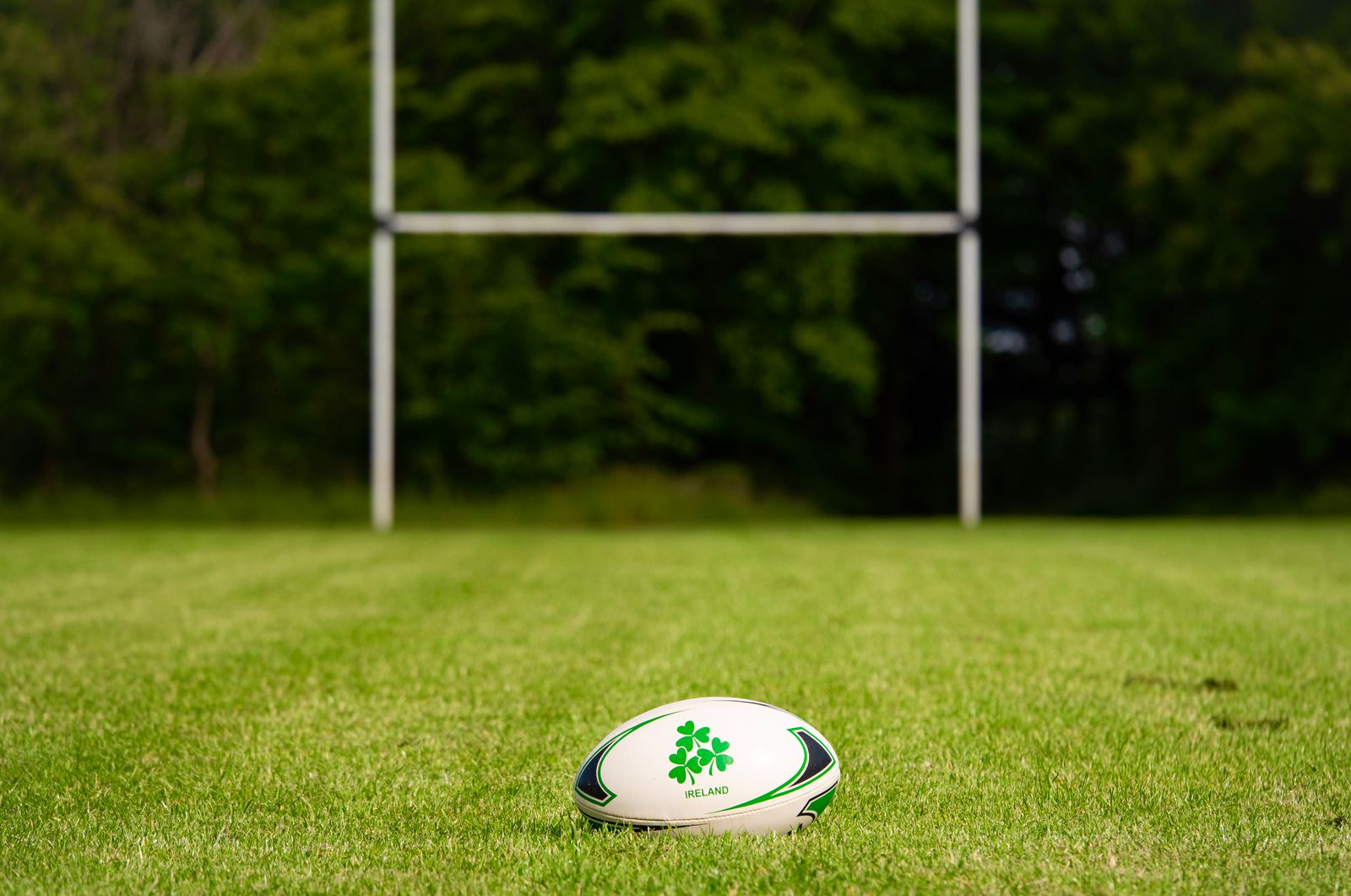 Rugby ball on a grass pitch with goalposts in the background