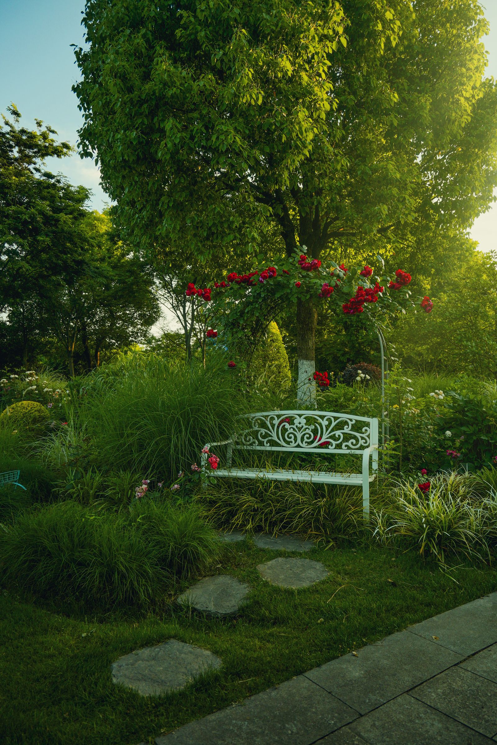 Tranquil garden with a white ornate bench beneath roses